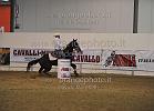 Barzon Davide_Puro Lilachic